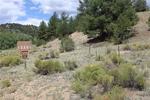 29355 Cr-305, Buena Vista, CO 81211 - Photo 3