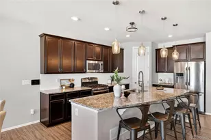 2571 Ambience Ln, Castle Rock, CO 80109 - Photo 11