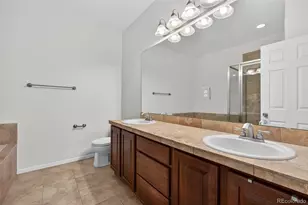 900 Bristle Pine Cir, Highlands Ranch, CO 80129 - Photo 21