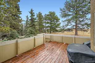190 Shannon Pl, Divide, CO 80814 - Photo 25