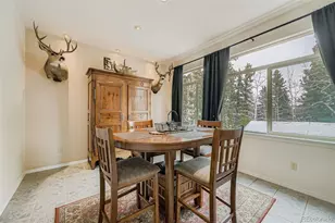 190 Shannon Pl, Divide, CO 80814 - Photo 13