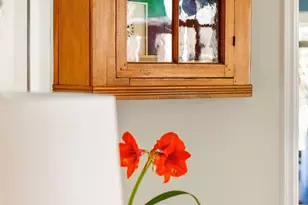 370 Ivy St, Denver, CO 80220 - Photo 41