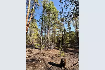 Tbd-Lot 479 Birch Drive, Twin Lakes, CO 80461 - Photo 9