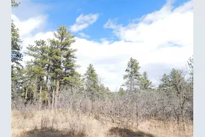 8122 Acoma Drive, Larkspur, CO 80118 - Photo 3