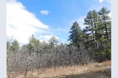 8122 Acoma Drive, Larkspur, CO 80118 - Photo 7