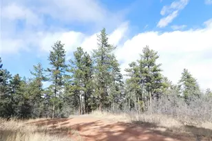 8122 Acoma Dr, Larkspur, CO 80118 - Photo 1