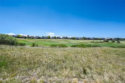 12063 Blackwell Way, Parker, CO 80138 - Photo 43