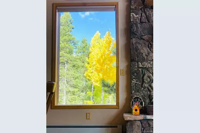 890 Royal Ridge Drive, Bailey, CO 80421 - Photo 33