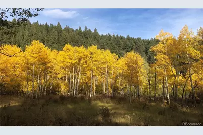 890 Royal Ridge Drive, Bailey, CO 80421 - Photo 31