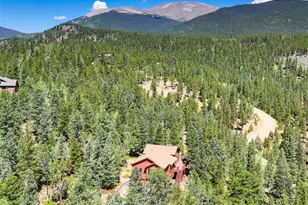 890 Royal Ridge Dr, Bailey, CO 80421 - Photo 41