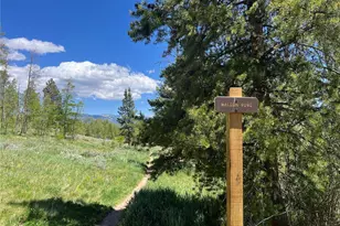 95600 Ryan Gulch Rd, Silverthorne, CO 80498 - Photo 35