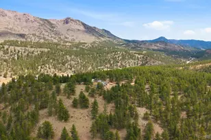 901 Co Rd 64, Bailey, CO 80421 - Photo 39