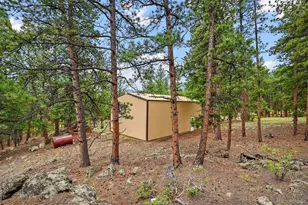 901 Co Rd 64, Bailey, CO 80421 - Photo 31