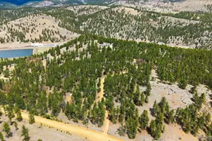 901 Co Rd 64, Bailey, CO 80421 - Photo 37