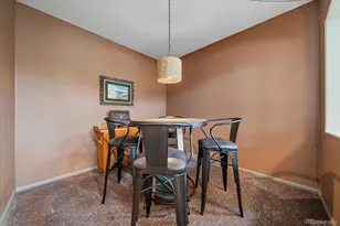 7204 S Ukraine St, Aurora, CO 80016 - Photo 7