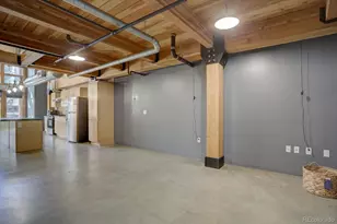 2955 Inca St, Denver, CO 80202 - Photo 11