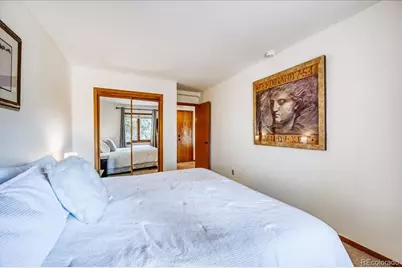 875 Four Oclock Road #D1, Breckenridge, CO 80424 - Photo 19