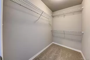 7845 Tuttle Vw, Colorado Springs, CO 80924 - Photo 17