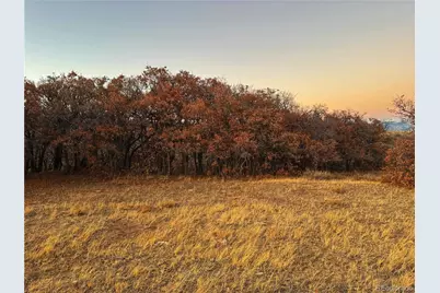 168 Colorado Land and Grazing, Gardner, CO 81040 - Photo 3