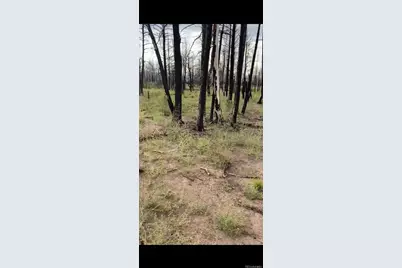 1386 Emery Loop, Fort Garland, CO 81133 - Photo 1