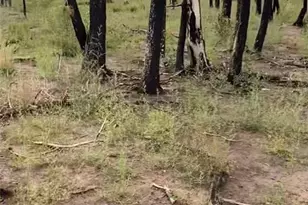 1386 Emery Loop, Fort Garland, CO 81133 - Photo 1