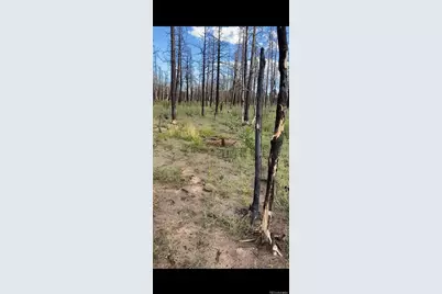 1386 Emery Loop, Fort Garland, CO 81133 - Photo 5