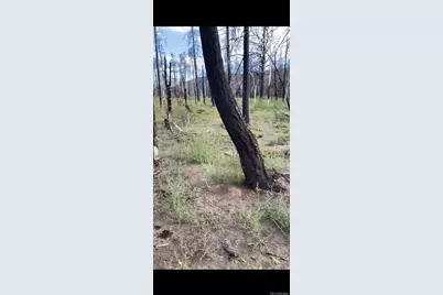 1386 Emery Loop, Fort Garland, CO 81133 - Photo 3