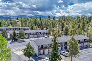 921 Mt Massive Dr, Leadville, CO 80461 - Photo 21