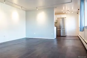 1245 Race, Denver, CO 80206 - Photo 9