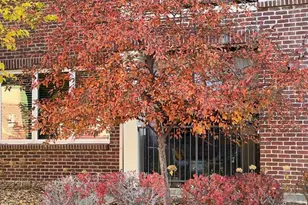 2896 W Riverwalk Cir, Littleton, CO 80123 - Photo 21