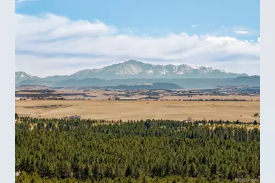 591 Nob Hill Trail, Franktown, CO 80116 - Photo 43