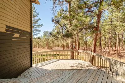 591 Nob Hill Trail, Franktown, CO 80116 - Photo 33