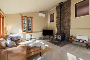 33913 Upper Bear Creek Rd, Evergreen, CO 80439 - Photo 7