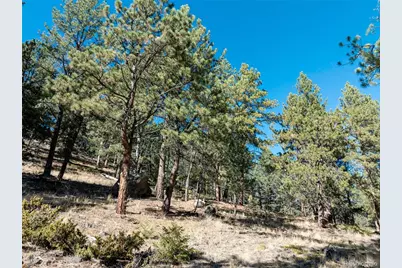 457 Stonehenge Drive, Florissant, CO 80816 - Photo 29