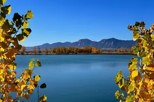 6206 Misty Way, Longmont, CO 80503 - Photo 45