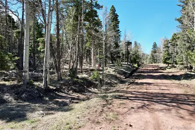 2966 Kemper Loop, Fort Garland, CO 81133 - Photo 7