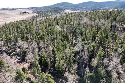 2966 Kemper Loop, Fort Garland, CO 81133 - Photo 15