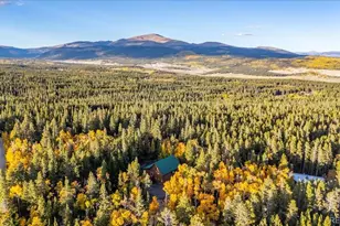 1119 Venture Road Rd, Fairplay, CO 80440 - Photo 47