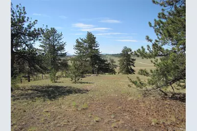 984 Arapahoe Trail, Hartsel, CO 80449 - Photo 3