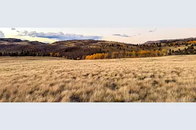 Lot 409 Brophy Drive, Fort Garland, CO 81133 - Photo 3