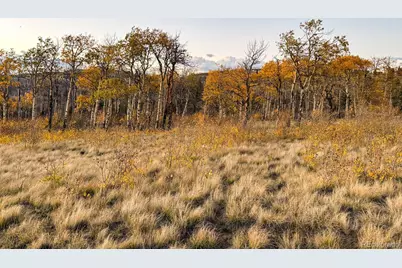 Lot 409 Brophy Drive, Fort Garland, CO 81133 - Photo 9