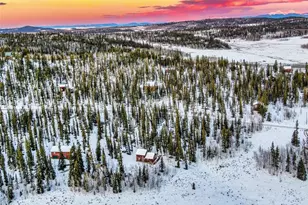 315 Haida Rd, Como, CO 80432 - Photo 39