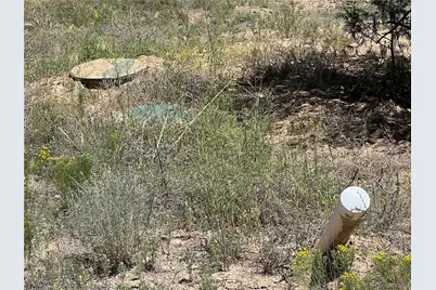 216 West View Road, Cotopaxi, CO 81223 - Photo 5