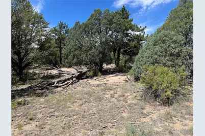 216 West View Road, Cotopaxi, CO 81223 - Photo 1