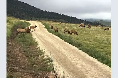 1115 Eagles Gate Road, Westcliffe, CO 81252 - Photo 47