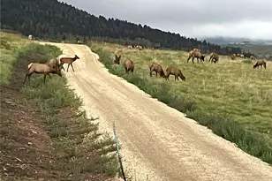 1115 Eagles Gate Rd, Westcliffe, CO 81252 - Photo 47