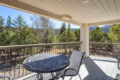 16695 County Road 162, Nathrop, CO 81236 - Photo 33