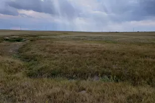 8155 Cowboy Rnch Vw, Peyton, CO 80831 - Photo 1