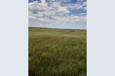 8155 Cowboy Ranch View, Peyton, CO 80831 - Photo 3