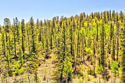 445 Warpath Road, Como, CO 80432 - Photo 17